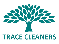 A teal tree graphic above the text 